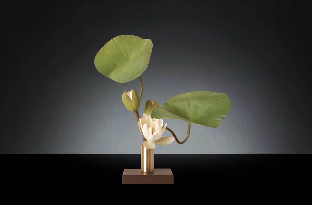 1700222267-1142953.96 SINGLE WHITE LOTUS_2LOW